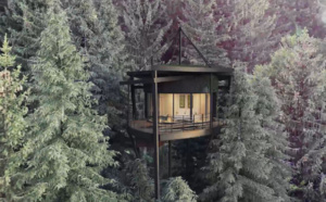 Nouveau : la cabane feuille ouvre ses portes au Val d'Arly