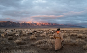 Mongolie : avec l'opération "1000 cachemires", Out of NowHere veut sauver le tourisme réceptif
