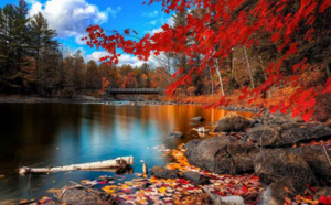 Connaissez-vous vos cousins?