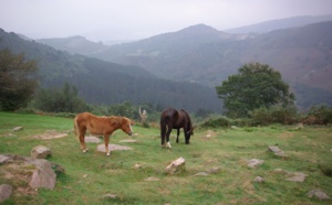 Pays Basque : sur les chemins des contrebandiers