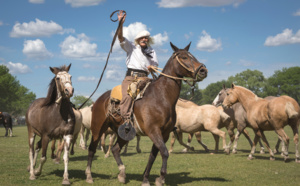 Argentine : la complainte du Gaucho