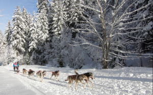 La Grande Odyssée a fait étape à Valmorel (Savoie)