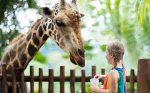 La défense de la cause animale va-t-elle tuer les zoos ?