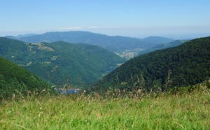 V. Bourgogne-Franche-Comté : à la découverte du Massif des Vosges