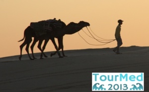 TOURMED 2013 : Marseille Capitale touristique de la Méditerranée, mode d'emploi TOURMED 2013 : Marseille Capitale touristique de la Méditerranée, mode d'emploi