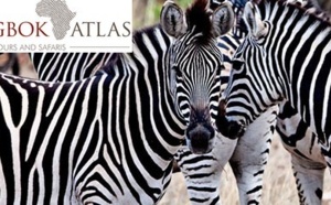Springbok Atlas débarque sur DMCMag.com