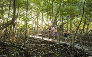 Découvrir la Guyane baskets aux pieds ! Découvrir la Guyane baskets aux pieds !