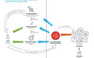 Marketing à la performance : état des lieux du secteur du voyage en ligne