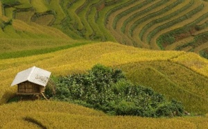 Réceptif : Nature Vietnam lance un nouveau trek exclusif dans le nord ouest
