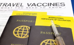 Passeport sanitaire : il ne faut pas que "la liberté de déplacement soit liée à la vaccination" selon le parti Pirate