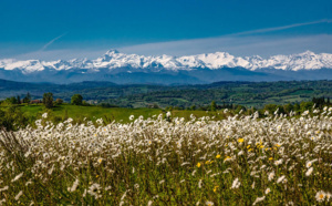 Vendre la Haute-Garonne : fiche de l'expert