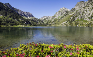 Vendre l’Ariège : fiche de l'expert