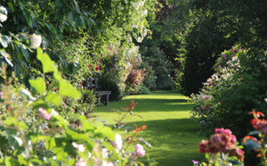 C’est le printemps, évadez-vous aux jardins en Centre-Val de Loire !