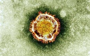 Coronavirus : les agents de voyages doivent respecter certaines obligations 