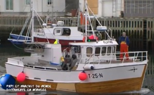 Voyage en Norvège : l'archipel des Lofoten et le marché de Tromso