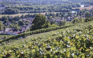 Coulommiers Pays de Brie : signature d'un contrat régional de destination avec la Région Ile-de-France