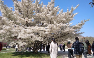 FUTUROSCOPIE -  Le spectacle de la nature, des arbres et des plantes, prend racine dans le tourisme...