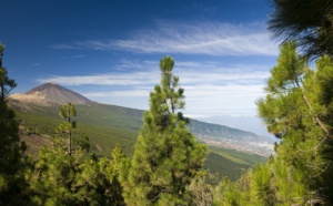 Canaries : Tenerife veut reprendre "la place touristique qu’elle mérite"