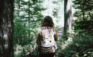 Comment la sortie en forêt est devenue une valeur refuge avec la Covid-19