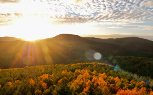 Voyages Vert Vous - L'Alsace Verte, reconnexion avec son patrimoine vivant (EP16) Voyages Vert Vous - L'Alsace Verte, reconnexion avec son patrimoine vivant (EP16)