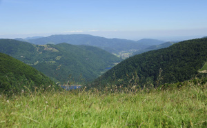 Escapade buissonnière dans les Vosges du Sud