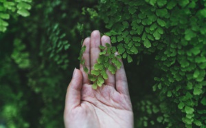 La nature revendique des droits