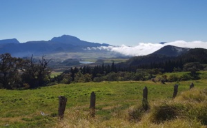 Réunion : le couvre-feu ne sera pas décalé de 21h à 23h le 9 juin