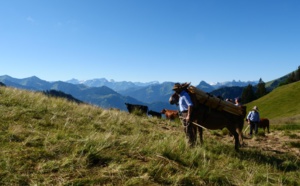 Voyages Vert Vous - E-Grand Tour de Suisse et découverte de l'alpage (EP17)