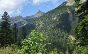 Mercantour : ouverture des gîtes et des cabanes perchées du Boréon
