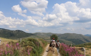 France : des idées d’activités sportives ou de découverte dans les Parcs nationaux