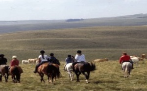 Tourisme Equestre : la ''Filière Cheval'' en Lozère