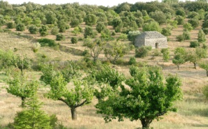 A la découverte des richesses secrètes du Luberon... A la découverte des richesses secrètes du Luberon...