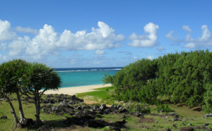Réunion, Ile Maurice : Top Of Travel plonge dans l'Océan Indien