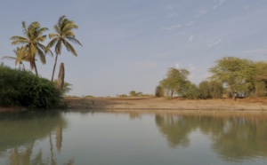 Voyages Vert Vous - Sénégal, Saint-Louis