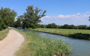 La Crau, incursions dans la steppe française