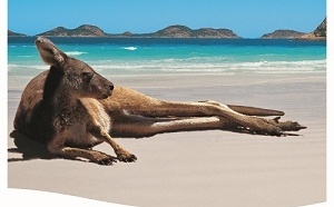 Faré Voyages : nouvelle brochure 2014 sur l'Australie et la Nouvelle Zélande