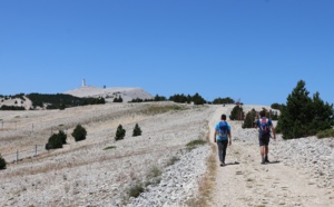 Vaucluse : à pied sur les pentes du Mont Ventoux