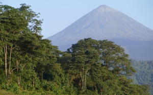 Protection de la biodiversité : retour sur l’évolution des « aires protégées » dans le monde Protection de la biodiversité : retour sur l’évolution des « aires protégées » dans le monde