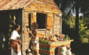 Les Ile de Guadeloupe : campagne de communication dès le 26 mars Les Ile de Guadeloupe : campagne de communication dès le 26 mars