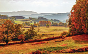 L’Automne, c’est la Bourgogne