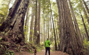 La Californie met en place une charte du tourisme responsable