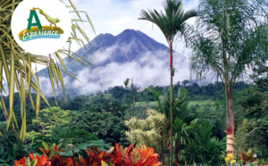 Costa Rica : Arawak Expérience rejoint DMCMag