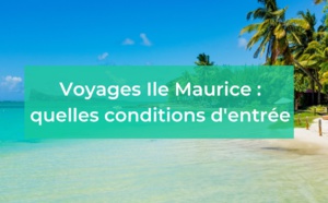 Tous les protocoles sanitaires ont été supprimés pour effectuer un voyage à l'Ile Maurice - Depositphotos.com Auteur zoomteam