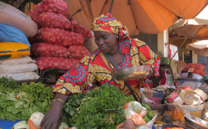 Voyages Vert Vous - Sénégal : Patrimoine culturel et naturel au fil du fleuve