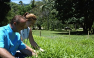 Thaïlande : potager biologique, ruches et ferme locale à l’hôtel Napasai de Koh Samui