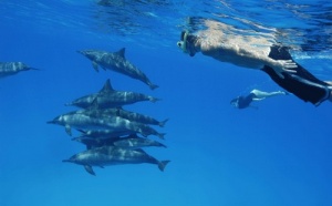 Cocorico Voyages lance un incentive pour les agents de voyages