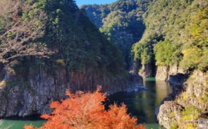 Japon : un webinaire pour découvrir la préfecture de Nara
