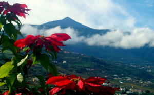 #Je suis agent de voyages : J’ai testé pour vous, le Mondi Club Best Jacaranda 4* à Tenerife #Je suis agent de voyages : J’ai testé pour vous, le Mondi Club Best Jacaranda 4* à Tenerife