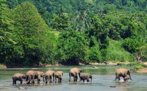 Voyages Sri Lanka : les voyageurs vaccinés exemptés de test PCR