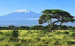 Kenya : les voyageurs vaccinés dispensés de test avant départ